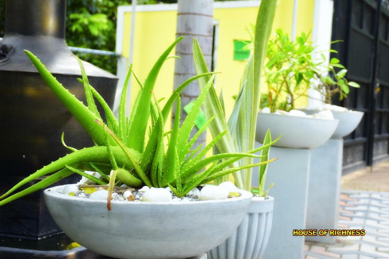 House Of Richness Hotel Negombo Exterior foto